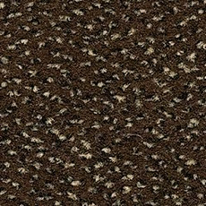 Ковролин Balsan Zenith Roll 755 фото 1 | FLOORDEALER